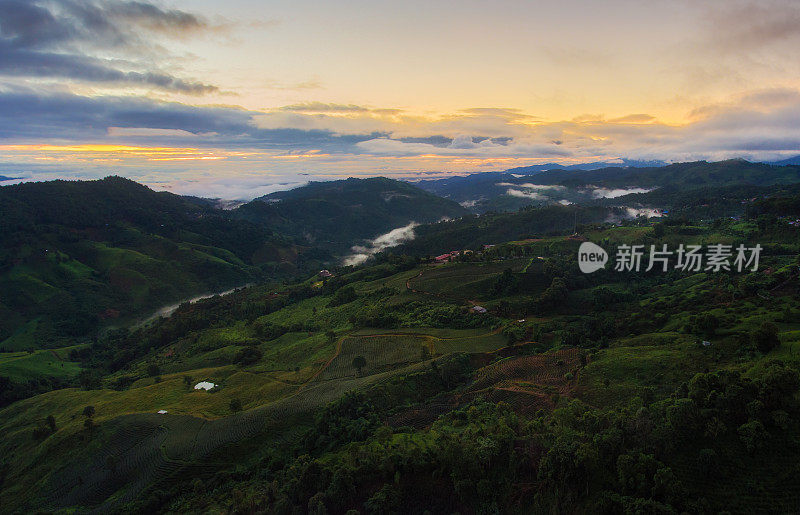 无人机拍摄的茶园在Doi Mae Salong在清莱，泰国